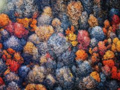 -罗红摄影艺术馆