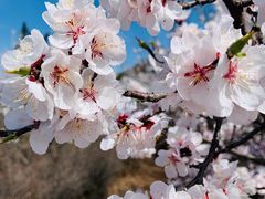 -云峰山自然风景区