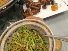 -食神鱼头佛跳墙(百子湾旗舰店)