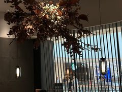 -大头椰·海南椰子鸡火锅(思明万象城店)