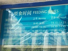 -上海海洋水族馆