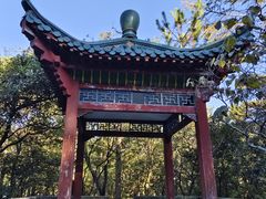 -庐山风景区花径公园