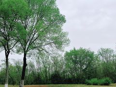 -盘龙城国家考古遗址公园