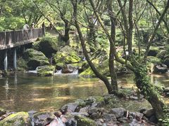 -牛背梁国家森林公园