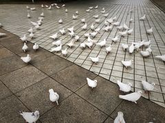 -旅顺博物馆