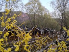 -仙居谷风景区