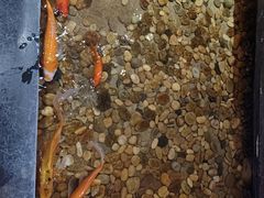 -颐和•海鲜砂锅粥•啫啫煲(奥林匹克广场店)