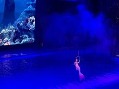 -芜湖新华联大白鲸海洋公园