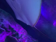 -沈阳海洋探索中心