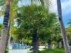 -亚龙湾海底世界