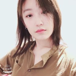 -大象造型