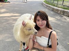 -灵玲国际马戏城
