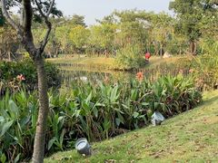 -王借岗森林公园