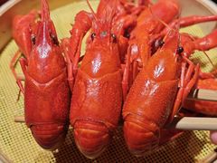 -杨氏青龙虾·羊蝎子(金盛路总店)