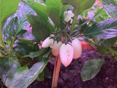 -chi K11艺术空间展览厅