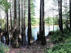 -东湖落雁景区