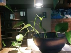 -栖巢咖啡(天鹅湖万达低碳店)