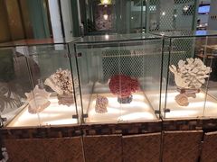 -春润大地海南椰子鸡(沙井京基百纳广场店)