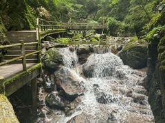-牛背梁国家森林公园