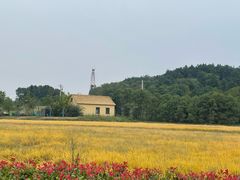 -花博汇(知音花月夜)