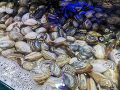-四海蒸鲜蒸汽海鲜自助(北戴河店)