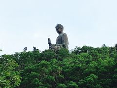 -天坛大佛