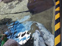 -鸿通城购物中心