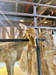 -酷嗒动物文化乐园(cutezoo西溪乐天城店)