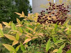 -安徽大学(磬苑校区)