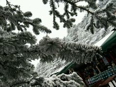 -峨嵋山金顶