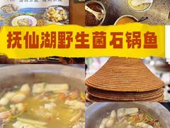 -抚仙湖生态石锅鱼野生菌(告庄店)