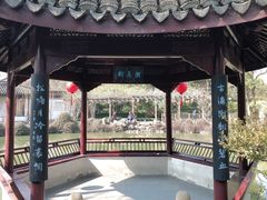-上海醉白池公园