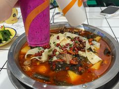 -晓彭肥肠鸡·泡椒鸡火锅(水木天地店)