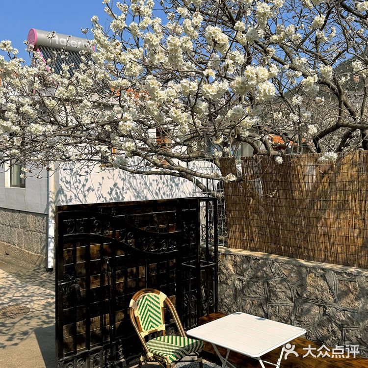 青岛崂山｜这家咖啡店的花开疯了🌬️