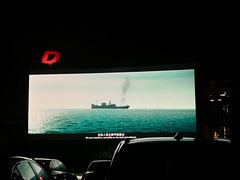 -枫花园汽车电影院(朝阳公园店)