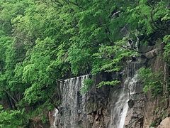 -参仙谷生态旅游度假区