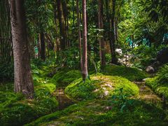 -成都市活水公园