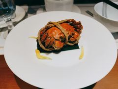 -觀芷隐轩