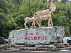 -长沙黑麋峰国家森林公园
