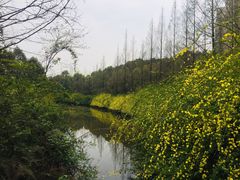 -成都南湖公园