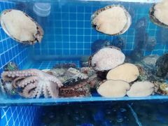 -宾朋海鲜特色美食餐厅·纯手工鲅鱼水饺(兴海路店)