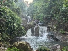 -广州市流溪河国家森林公园