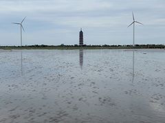 -奉贤海滩