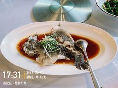-沪碟·精菜坊(闵行店)