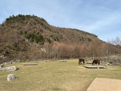 -狮子沟牧场