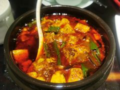 -陈麻婆豆腐总店