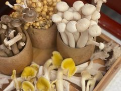 -钦善斋·养生膳食·精典川菜(武侯祠店)