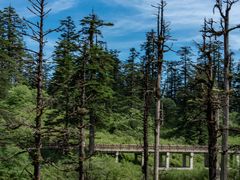 -瓦屋山景区