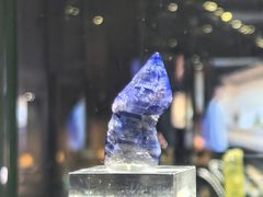 -湖南省地质博物馆