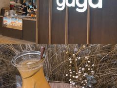 -gaga(深圳南山益田假日广场店)